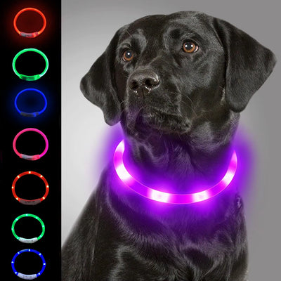 Light-Up LED Dog Collar | Rechargeable 360° Glow Pet Safety Collar