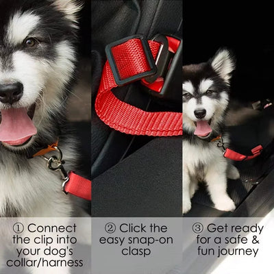 Adjustable heavy-duty dog car seat belt harness for safe pet travel