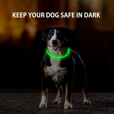 Light-Up LED Dog Collar | Rechargeable 360° Glow Pet Safety Collar