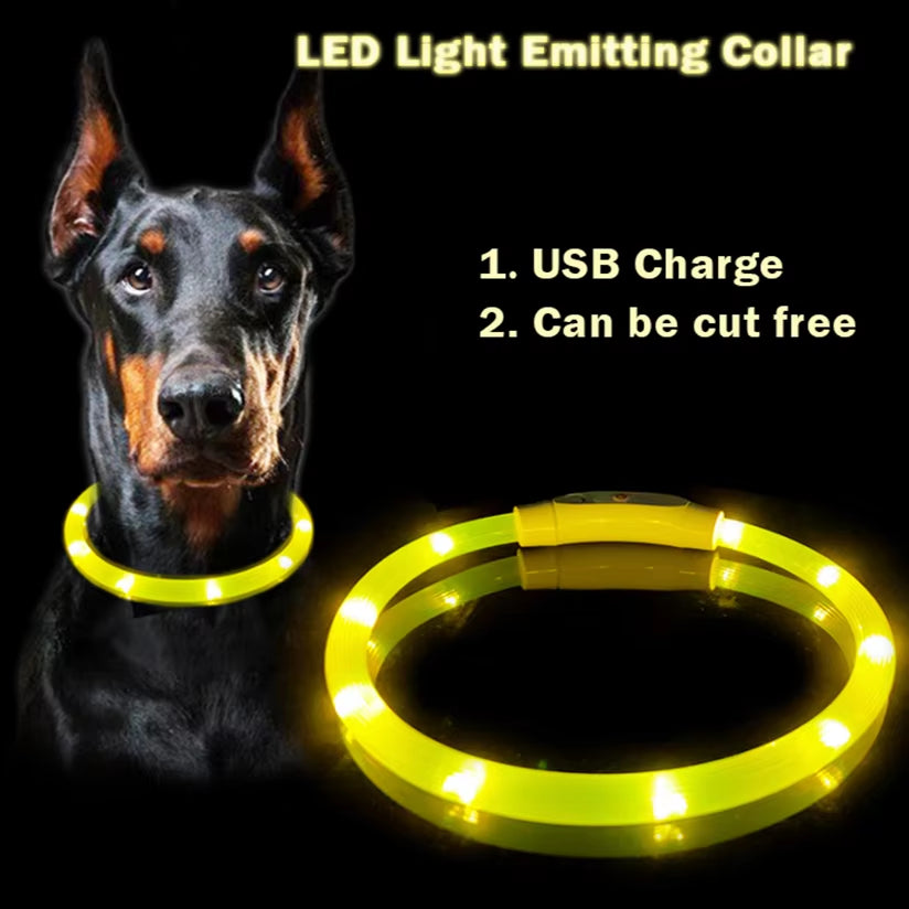 Light-Up LED Dog Collar | Rechargeable 360° Glow Pet Safety Collar