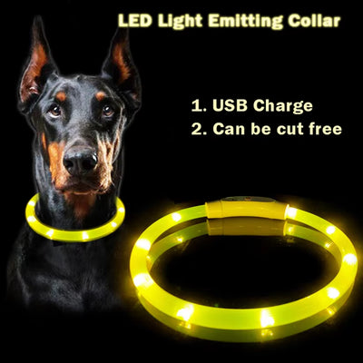 Light-Up LED Dog Collar | Rechargeable 360° Glow Pet Safety Collar